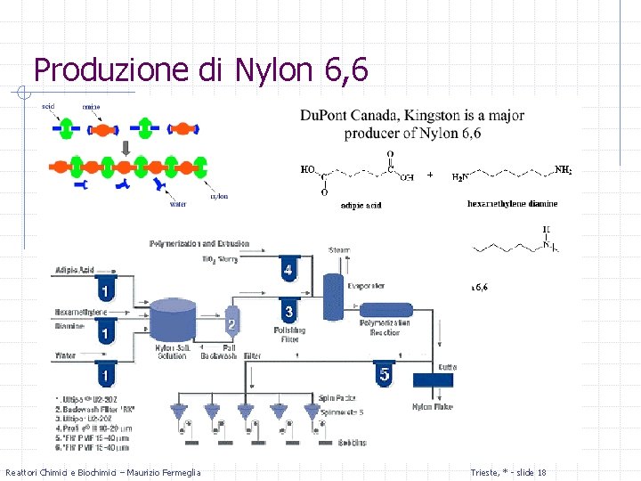 Produzione di Nylon 6, 6 Reattori Chimici e Biochimici – Maurizio Fermeglia Trieste, *