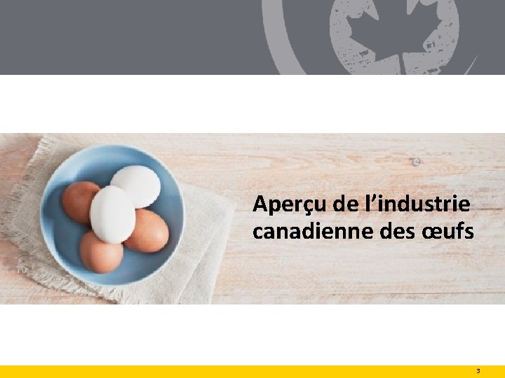 Aperçu de l’industrie canadienne des œufs 3 