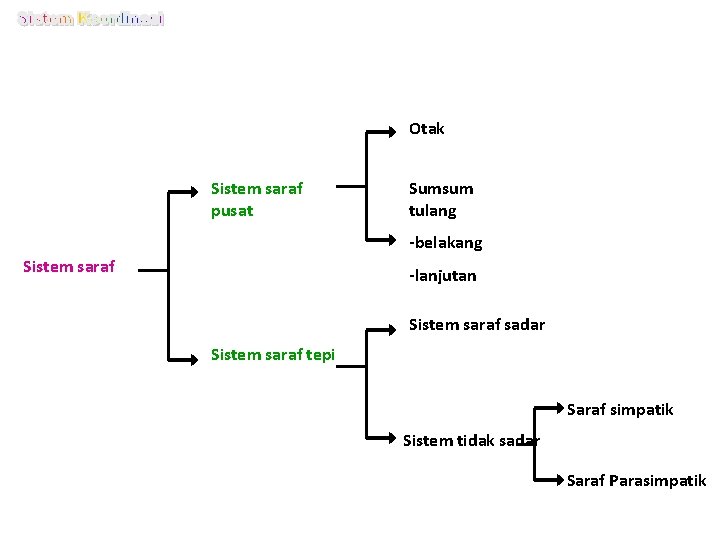 Otak Sistem saraf pusat Sumsum tulang -belakang Sistem saraf -lanjutan Sistem saraf sadar Sistem