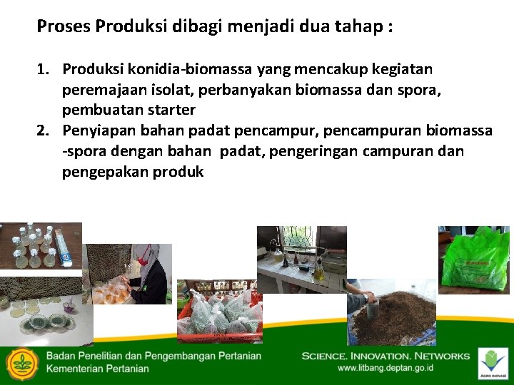 Proses Produksi dibagi menjadi dua tahap : 1. Produksi konidia-biomassa yang mencakup kegiatan peremajaan