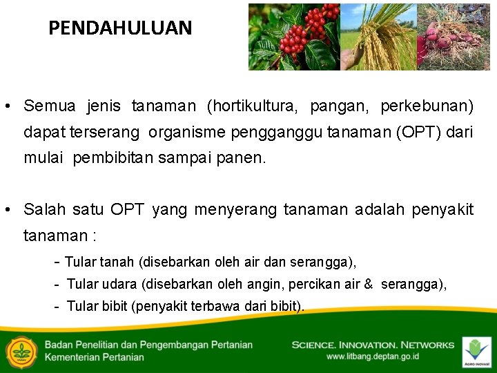PENDAHULUAN • Semua jenis tanaman (hortikultura, pangan, perkebunan) dapat terserang organisme pengganggu tanaman (OPT)