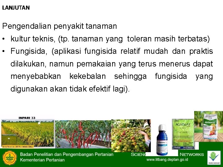 LANJUTAN Pengendalian penyakit tanaman • kultur teknis, (tp. tanaman yang toleran masih terbatas) •