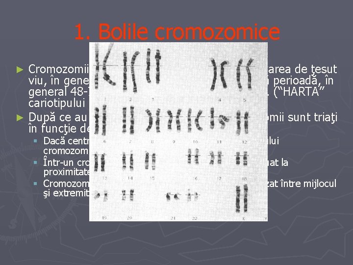 1. Bolile cromozomice Cromozomii sunt analizaţi pornind de la prelevarea de ţesut viu, în