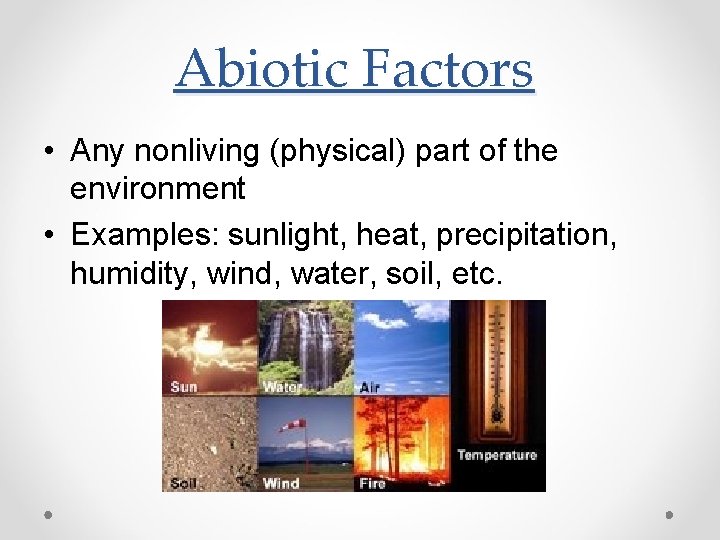 Abiotic Factors • Any nonliving (physical) part of the environment • Examples: sunlight, heat,