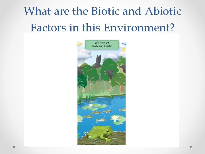 What are the Biotic and Abiotic Factors in this Environment? 