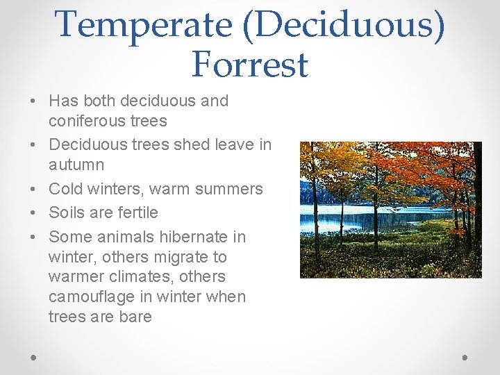 Temperate (Deciduous) Forrest • Has both deciduous and coniferous trees • Deciduous trees shed