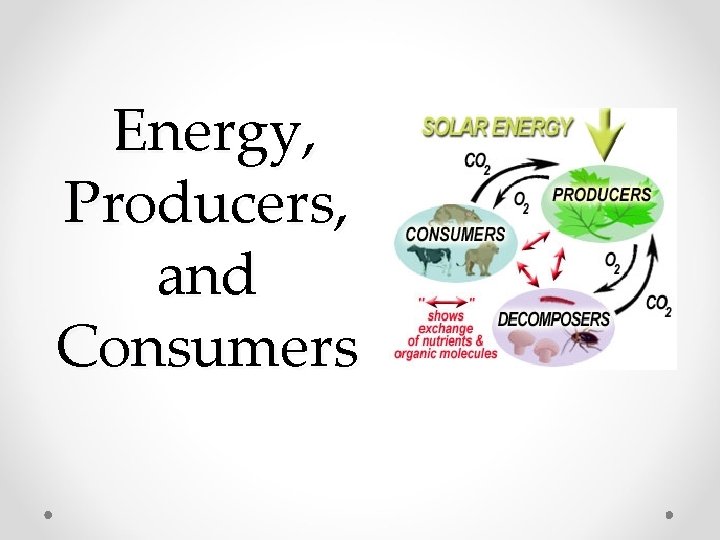 Energy, Producers, and Consumers 