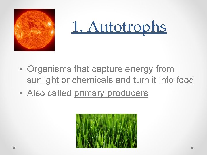 1. Autotrophs • Organisms that capture energy from sunlight or chemicals and turn it