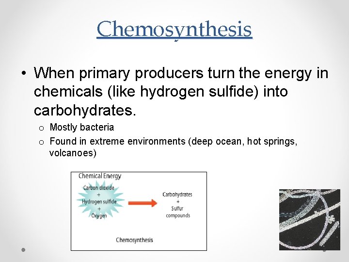 Chemosynthesis • When primary producers turn the energy in chemicals (like hydrogen sulfide) into