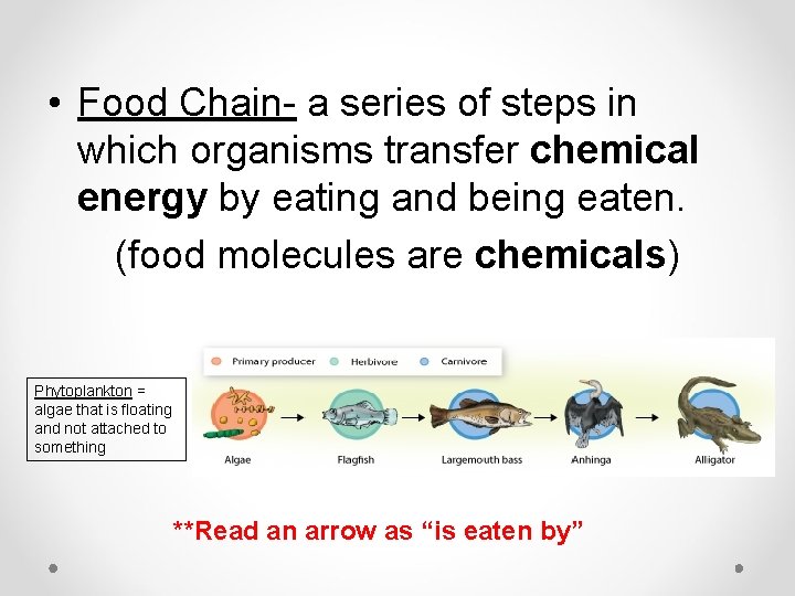  • Food Chain- a series of steps in which organisms transfer chemical energy