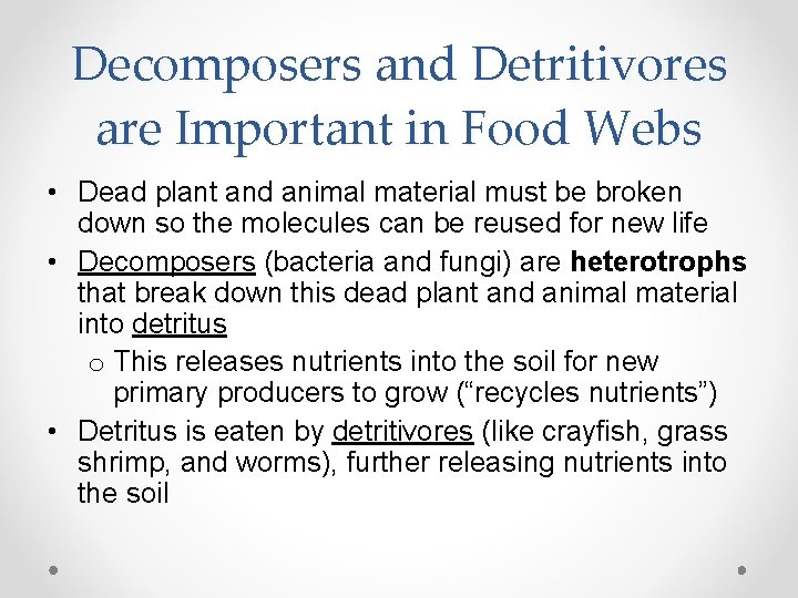 Decomposers and Detritivores are Important in Food Webs • Dead plant and animal material