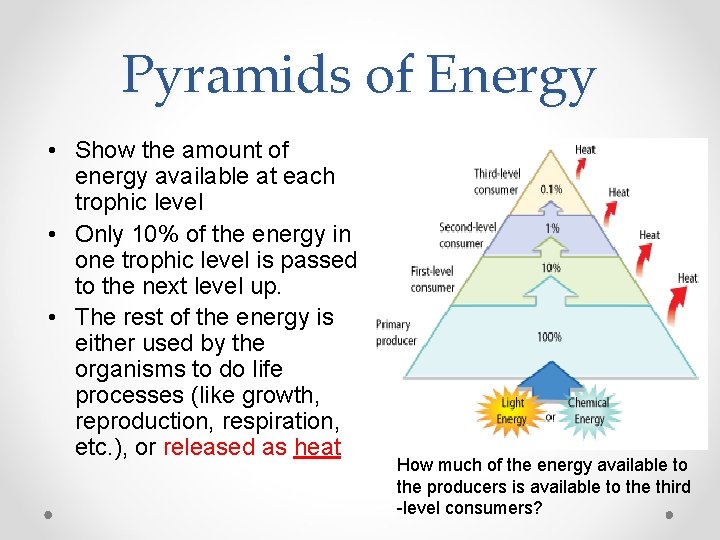 Pyramids of Energy • Show the amount of energy available at each trophic level
