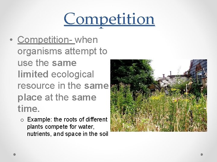 Competition • Competition- when organisms attempt to use the same limited ecological resource in