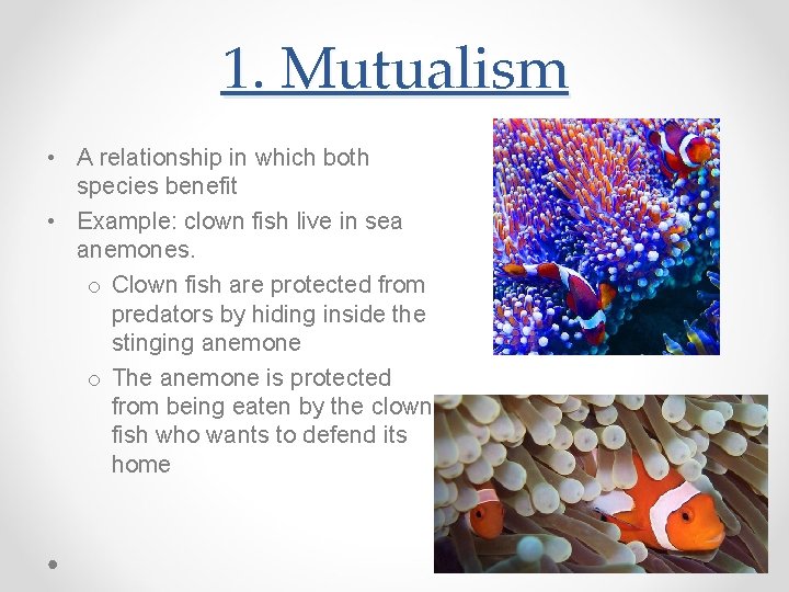 1. Mutualism • A relationship in which both species benefit • Example: clown fish