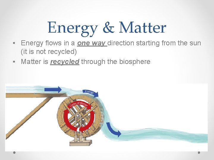 Energy & Matter • Energy flows in a one way direction starting from the