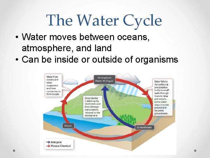 The Water Cycle • Water moves between oceans, atmosphere, and land • Can be