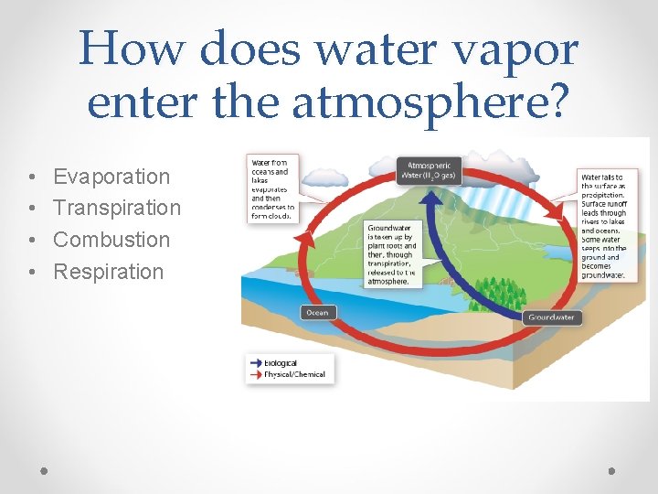 How does water vapor enter the atmosphere? • • Evaporation Transpiration Combustion Respiration 