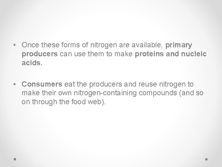  • Once these forms of nitrogen are available, primary producers can use them