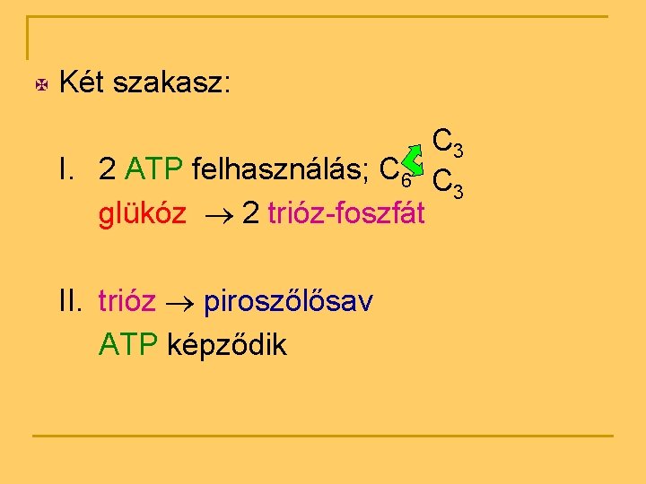 X Két szakasz: I. 2 ATP felhasználás; C 6 glükóz 2 trióz-foszfát II. trióz