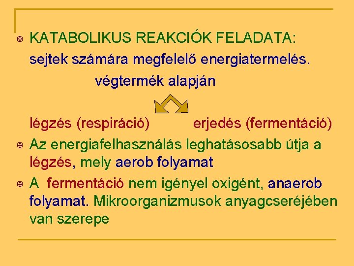 X X X KATABOLIKUS REAKCIÓK FELADATA: sejtek számára megfelelő energiatermelés. végtermék alapján légzés (respiráció)