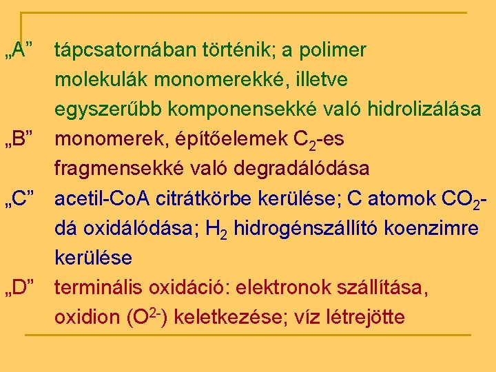 „A” „B” „C” „D” tápcsatornában történik; a polimer molekulák monomerekké, illetve egyszerűbb komponensekké való
