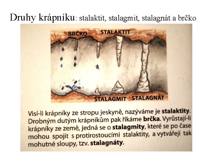 Druhy krápníku: stalaktit, stalagmit, stalagnát a brčko 