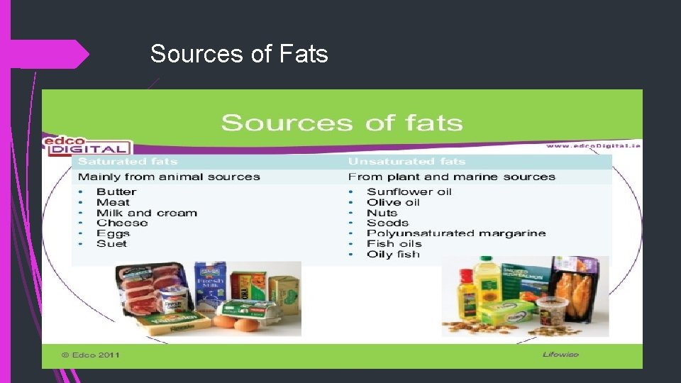 Sources of Fats ANIMAL PLANT 