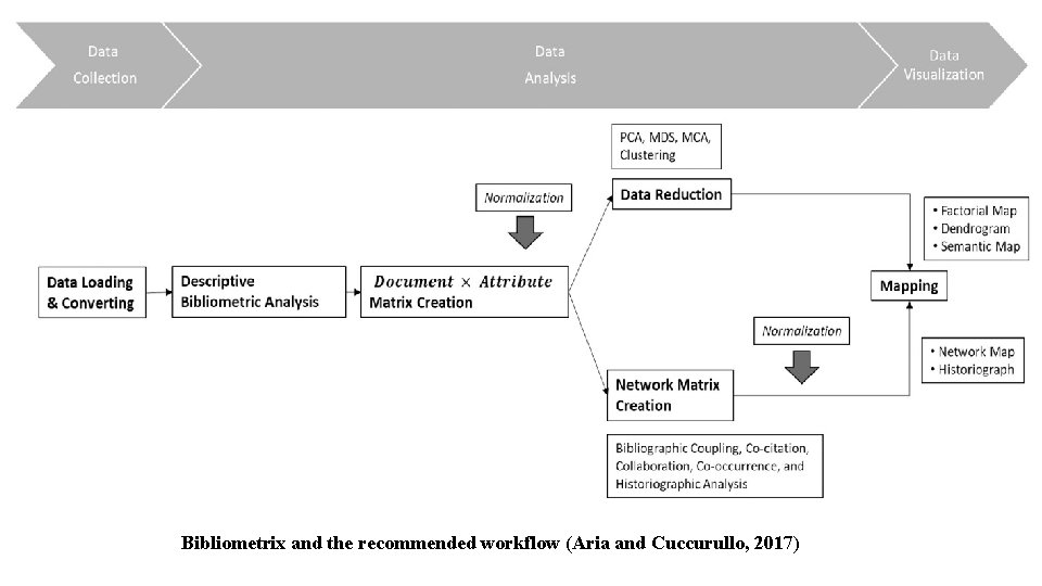 Bibliometrix and the recommended workflow (Aria and Cuccurullo, 2017) 