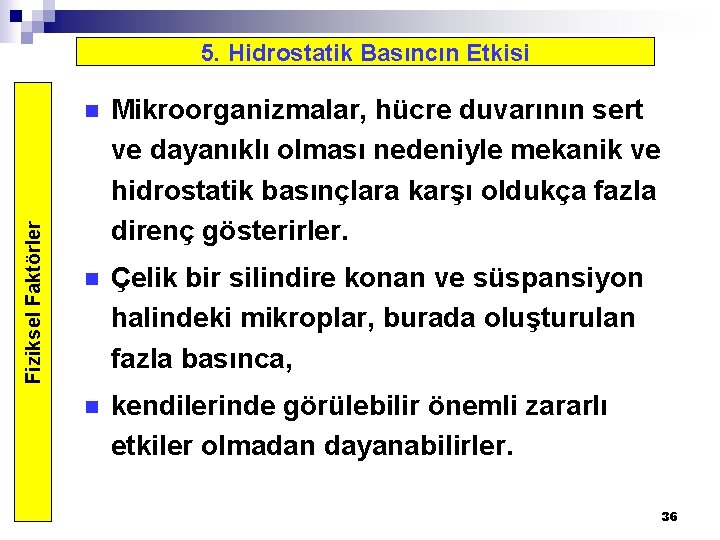 Fiziksel Faktörler 5. Hidrostatik Basıncın Etkisi n Mikroorganizmalar, hücre duvarının sert ve dayanıklı olması