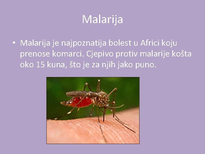 Malarija • Malarija je najpoznatija bolest u Africi koju prenose komarci. Cjepivo protiv malarije