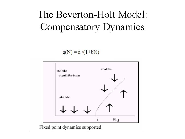 The Beverton-Holt Model: Compensatory Dynamics 