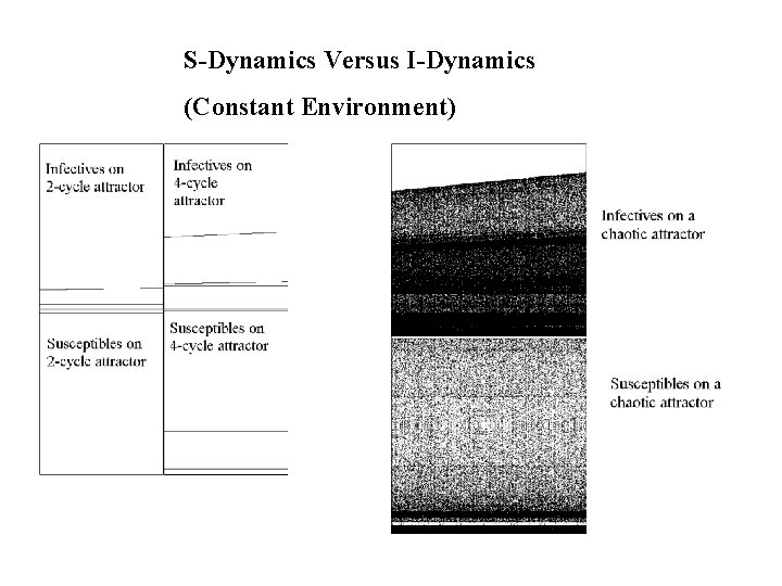 S-Dynamics Versus I-Dynamics (Constant Environment) 