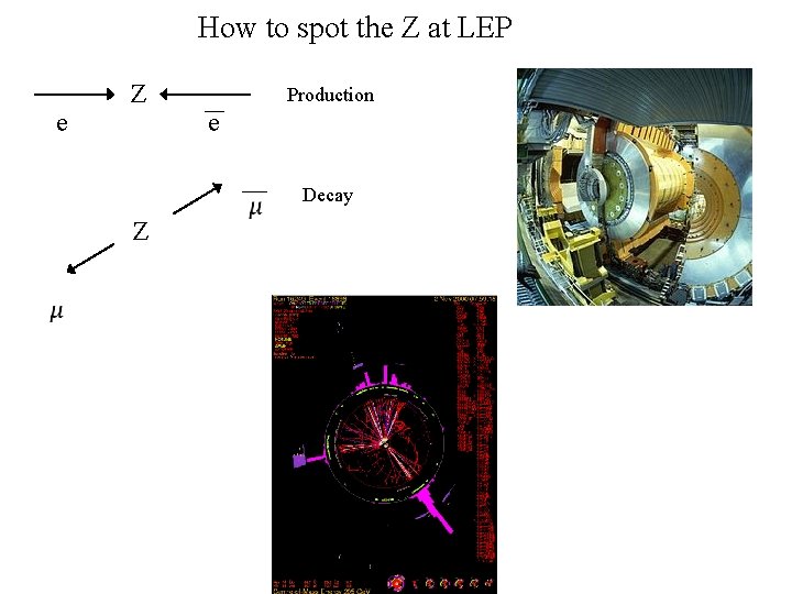How to spot the Z at LEP e Z Production e Decay Z 