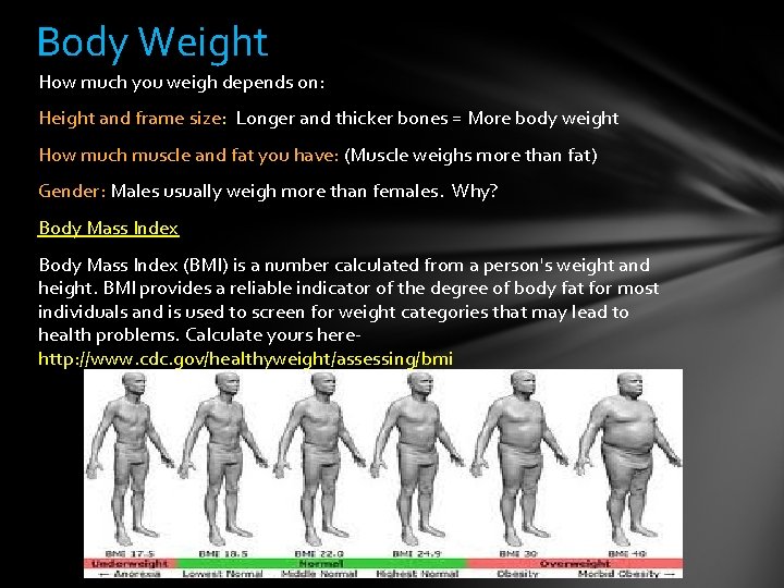 Body Weight How much you weigh depends on: Height and frame size: Longer and