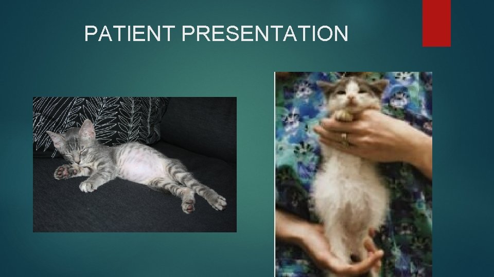 PATIENT PRESENTATION 