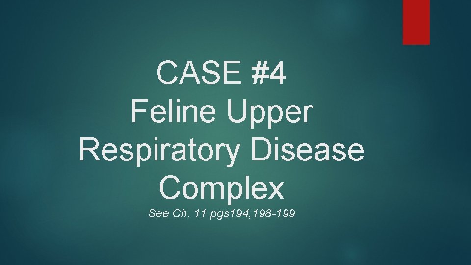 CASE #4 Feline Upper Respiratory Disease Complex See Ch. 11 pgs 194, 198 -199