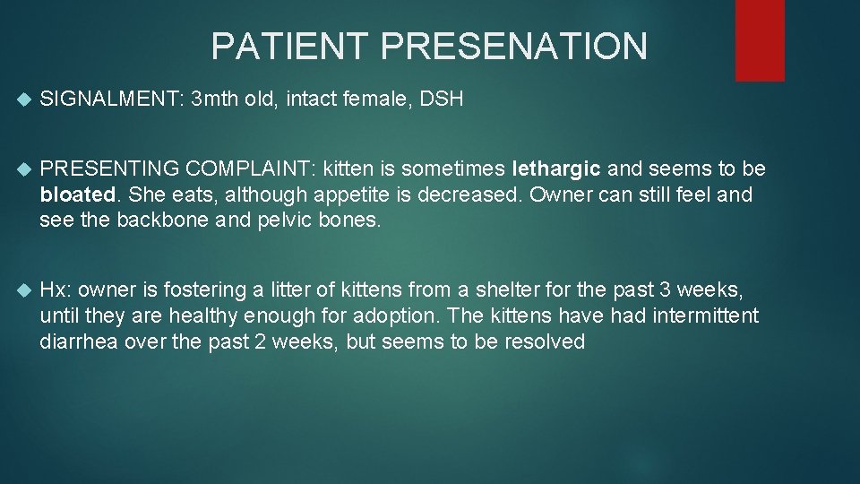 PATIENT PRESENATION SIGNALMENT: 3 mth old, intact female, DSH PRESENTING COMPLAINT: kitten is sometimes