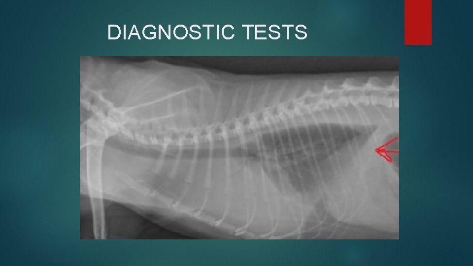 DIAGNOSTIC TESTS 