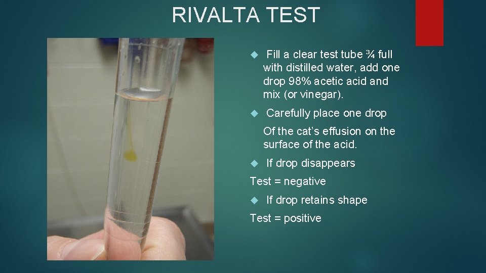 RIVALTA TEST Fill a clear test tube ¾ full with distilled water, add one