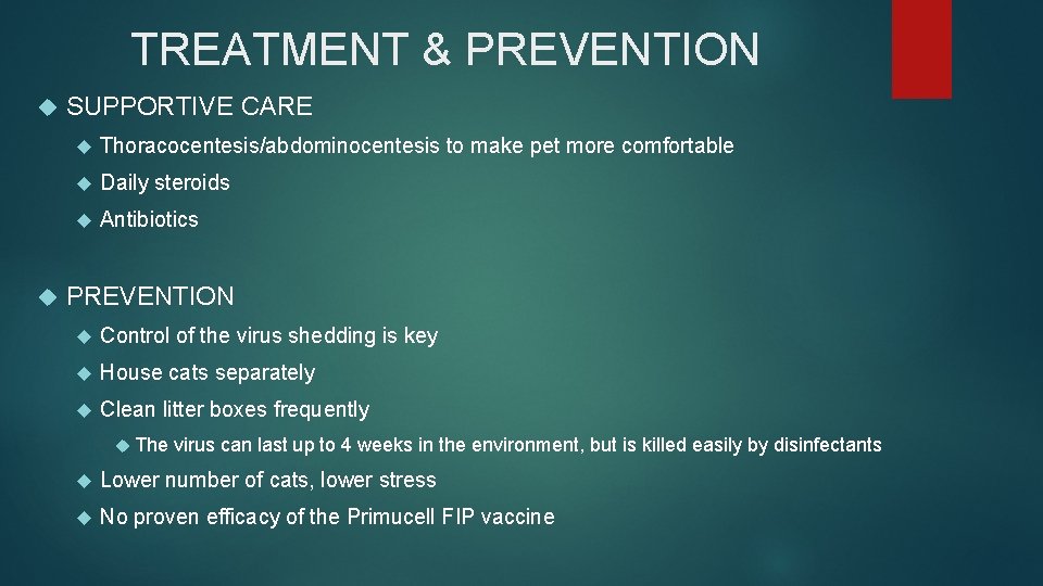 TREATMENT & PREVENTION SUPPORTIVE CARE Thoracocentesis/abdominocentesis to make pet more comfortable Daily steroids Antibiotics