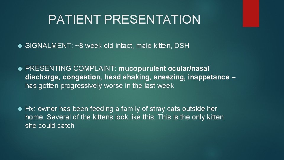 PATIENT PRESENTATION SIGNALMENT: ~8 week old intact, male kitten, DSH PRESENTING COMPLAINT: mucopurulent ocular/nasal