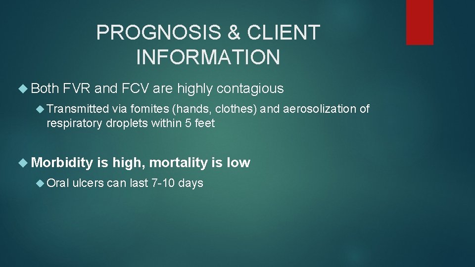 PROGNOSIS & CLIENT INFORMATION Both FVR and FCV are highly contagious Transmitted via fomites