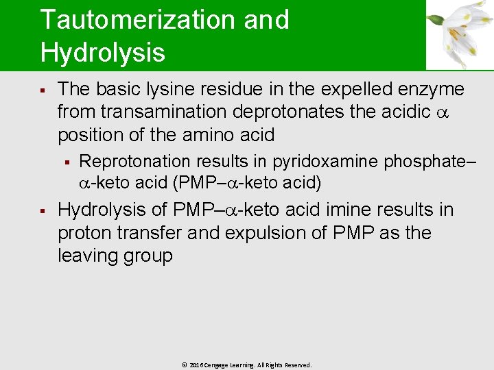 Tautomerization and Hydrolysis § The basic lysine residue in the expelled enzyme from transamination