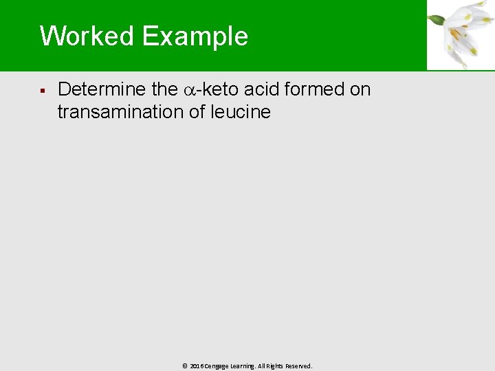 Worked Example § Determine the -keto acid formed on transamination of leucine © 2016