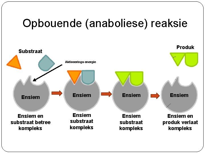 Opbouende (anaboliese) reaksie Produk Substraat Aktiveerings energie Ensiem Ensiem en substraat betree kompleks Ensiem