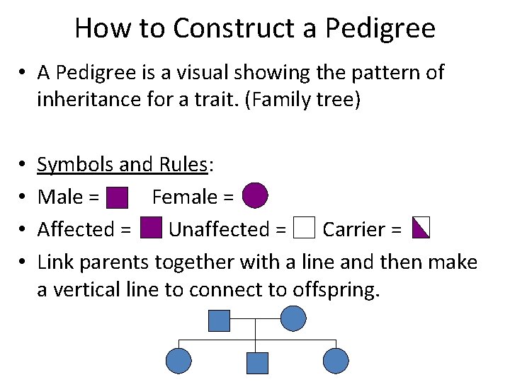 How to Construct a Pedigree • A Pedigree is a visual showing the pattern