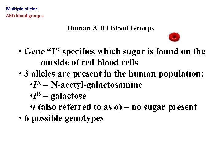 Multiple alleles ABO blood group s Human ABO Blood Groups • Gene “I” specifies