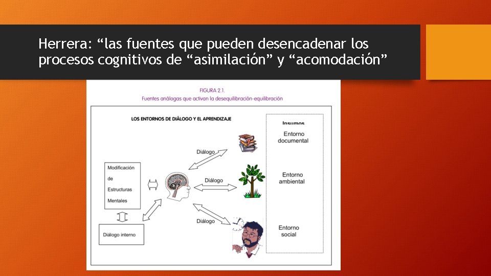 Herrera: “las fuentes que pueden desencadenar los procesos cognitivos de “asimilación” y “acomodación” 