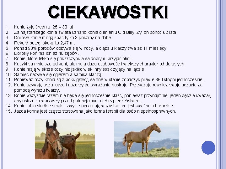 CIEKAWOSTKI 1. 2. 3. 4. 5. 6. 7. 8. 9. 10. 11. 12. Konie