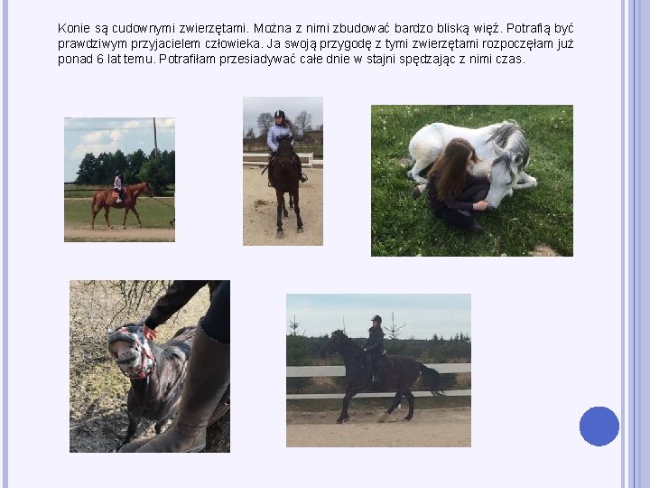 Konie są cudownymi zwierzętami. Można z nimi zbudować bardzo bliską więź. Potrafią być prawdziwym
